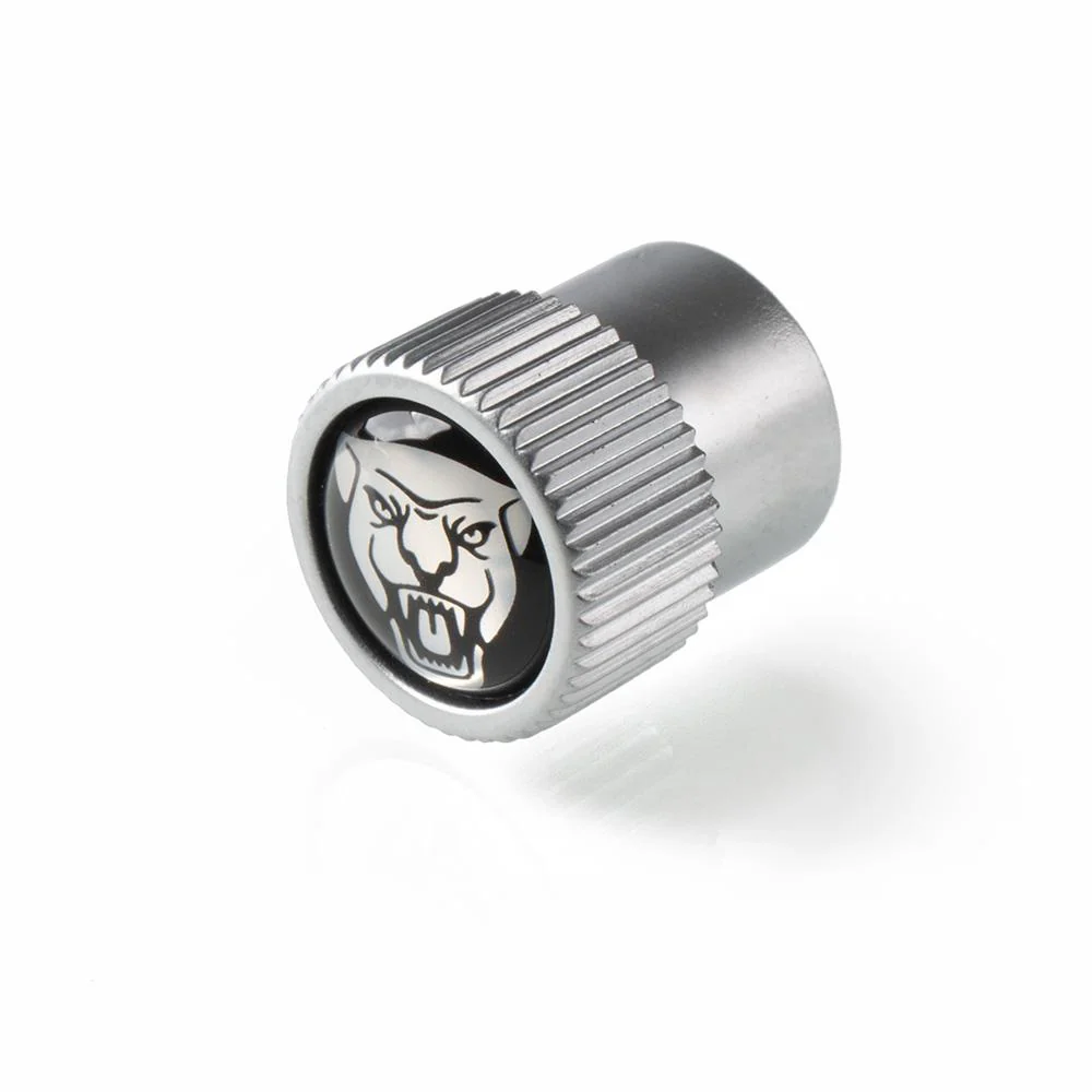 Jaguar Featured Accessories